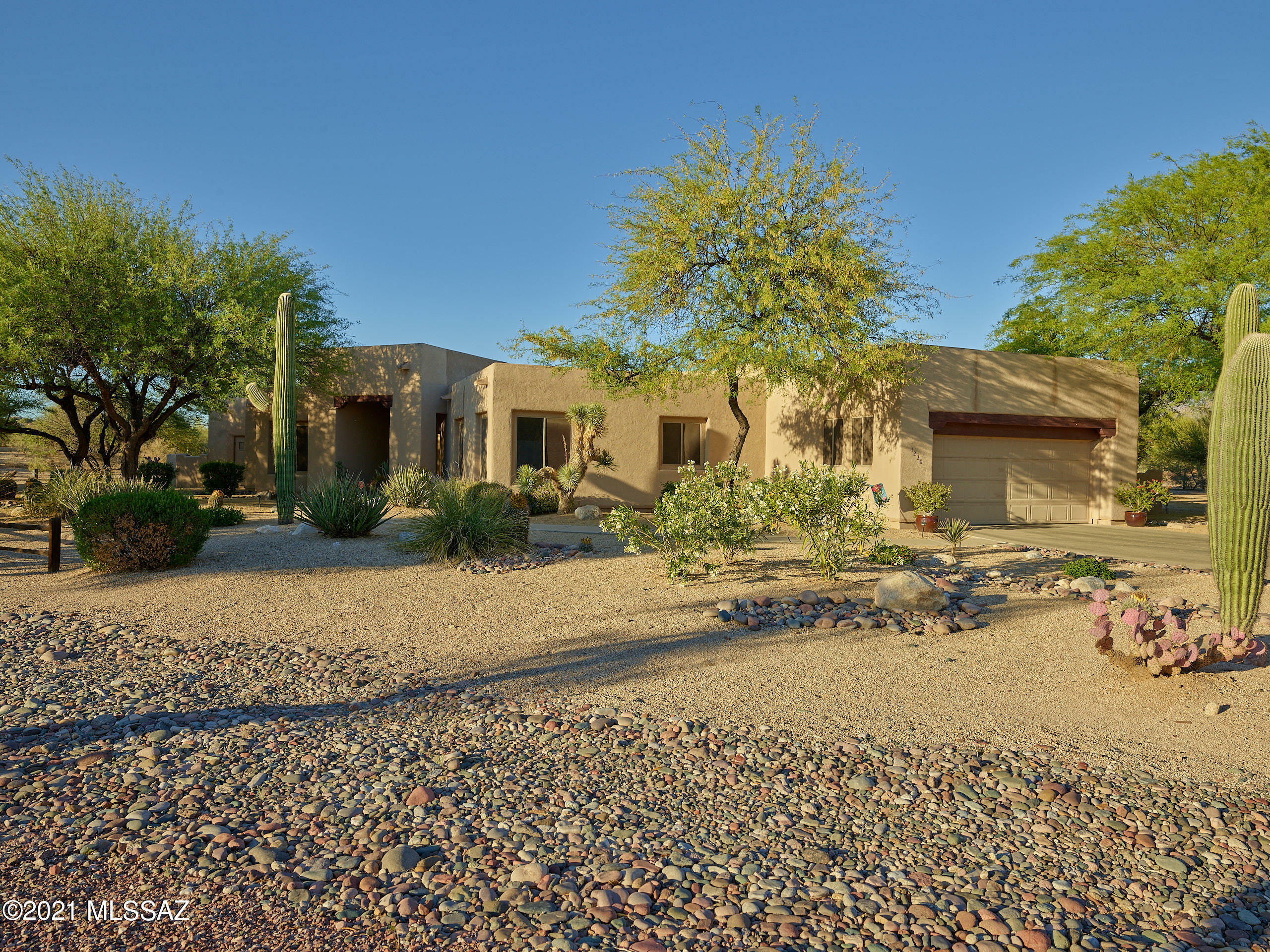 Property Photo:  1230 W Saddlehorn Drive  AZ 85704 