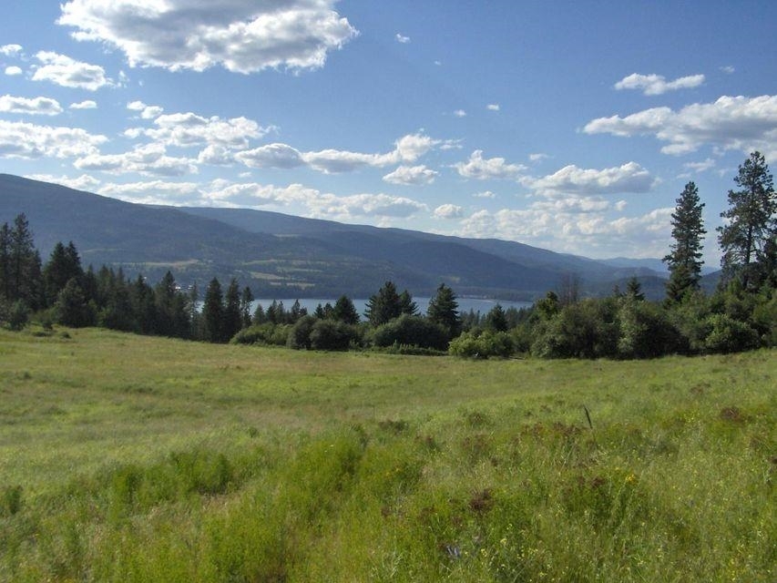 Property Photo:  1237 Lot B Gold Edge Mine Rd  WA 99141 