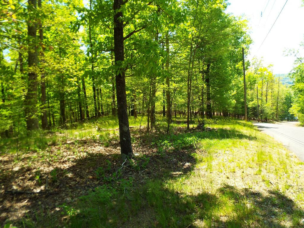 Property Photo:  1323 Muskogee Drive  TN 37811 