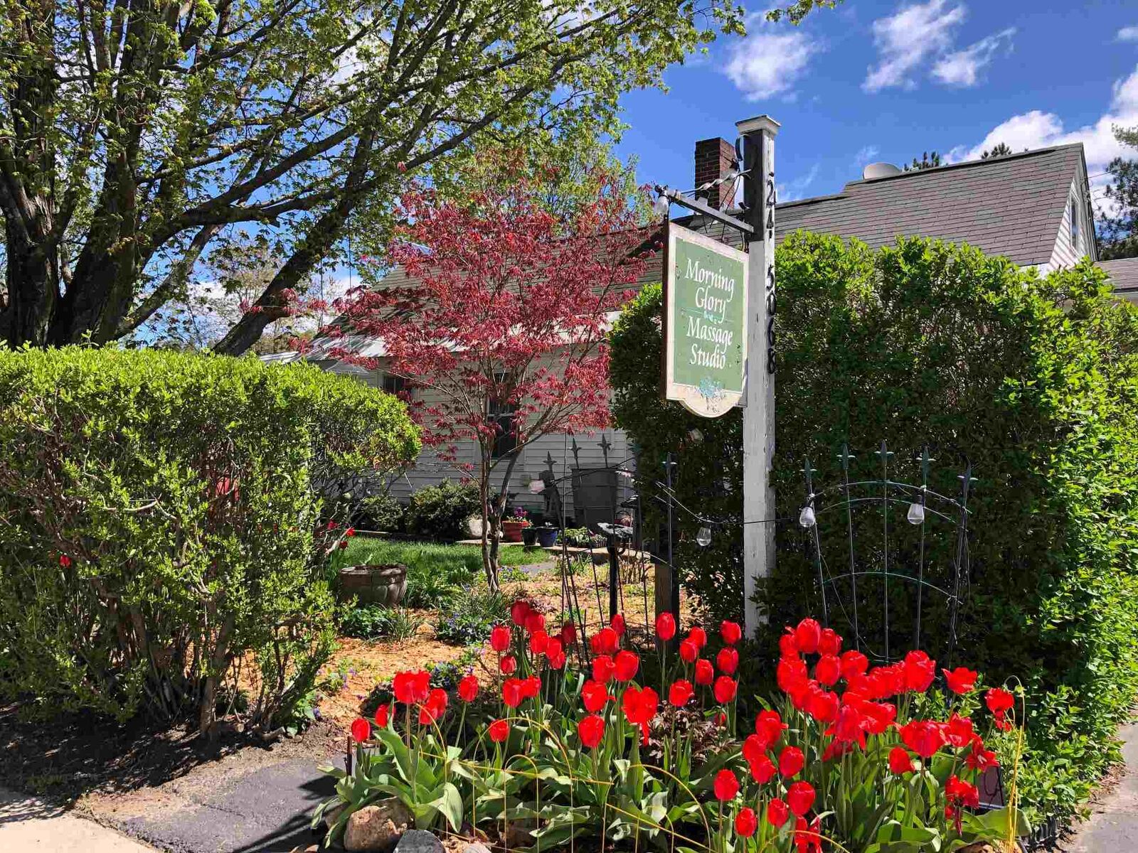 Property Photo:  74 Grove Street  NH 03458 