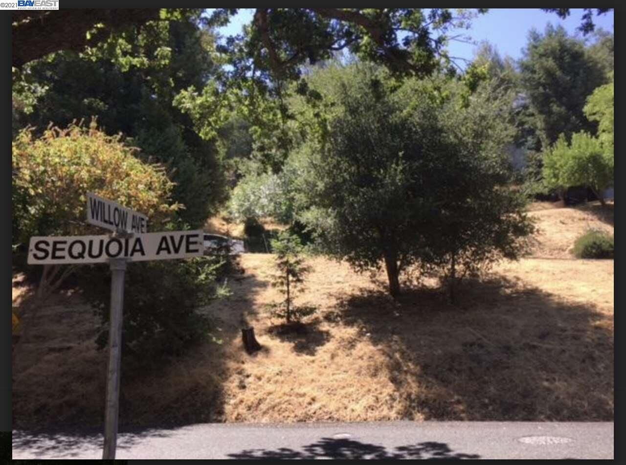 Property Photo:  237 Sequoia Ave.  CA 94595 