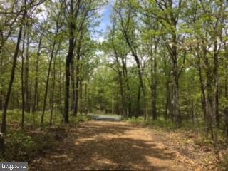 Property Photo:  4201 Detour Road  WV 25422 