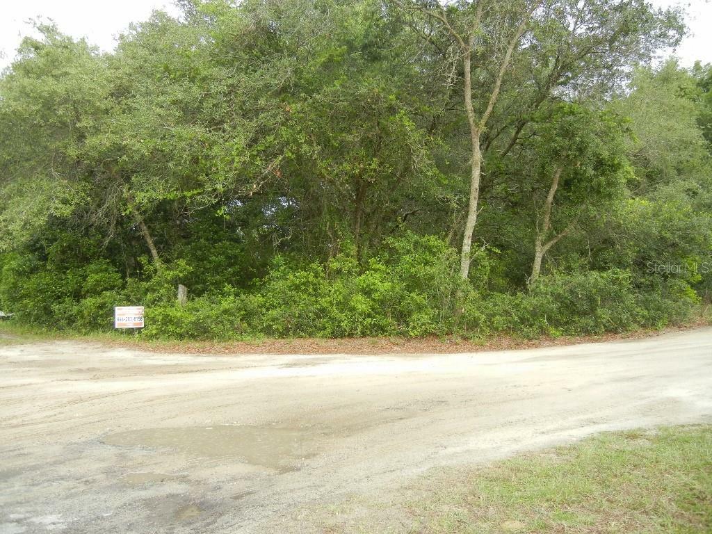 Property Photo:  Kalamazoo Drive  FL 32736 