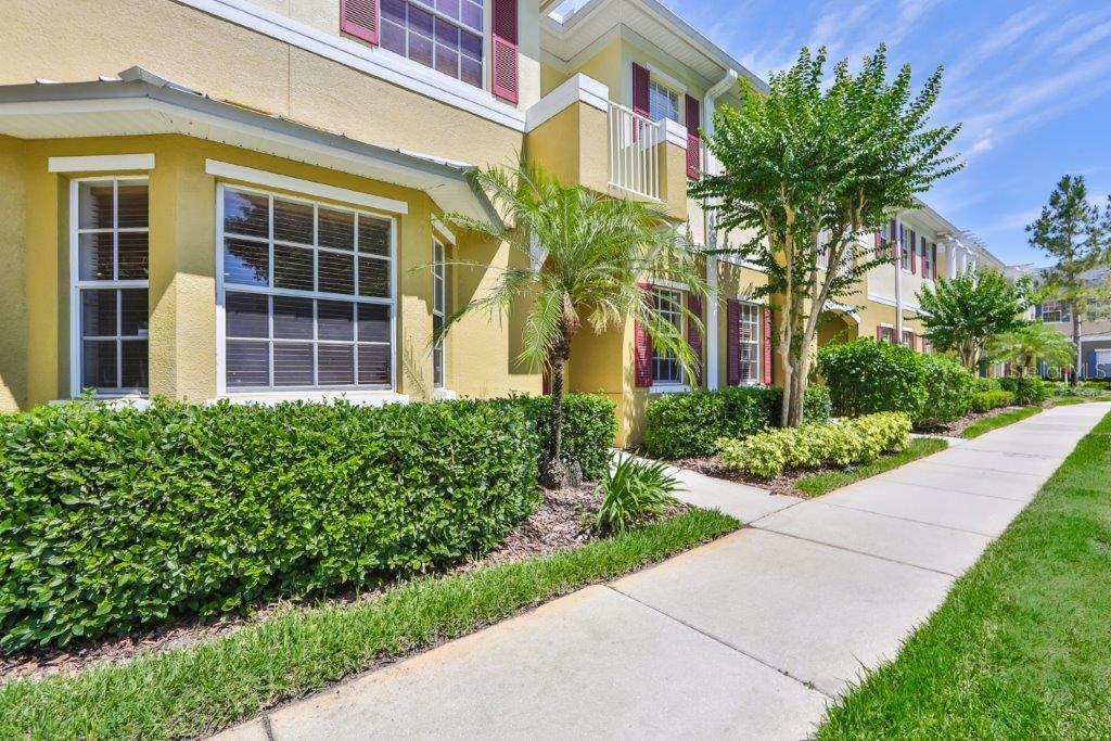 Property Photo:  7449 Arlington Grove Circle  FL 33625 