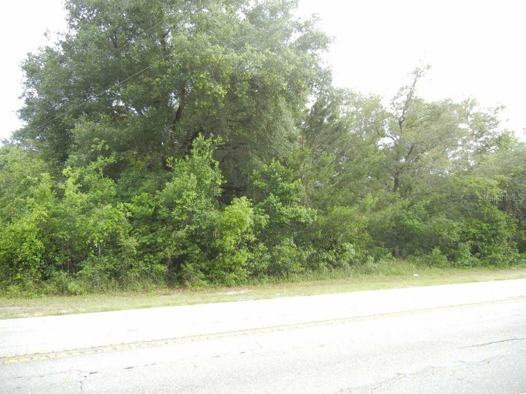 Property Photo:  County Road 44A  FL 32736 