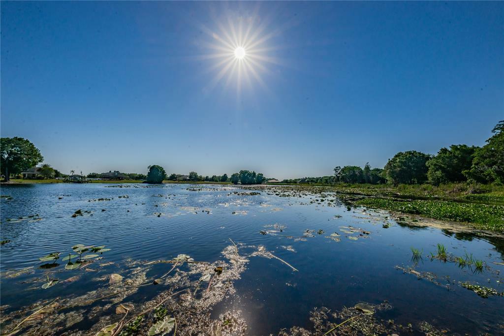 Property Photo: 17524 Boy Scout Road FL 33556