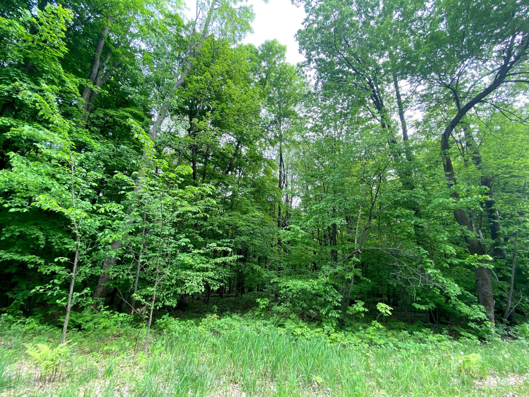 Property Photo:  Outlot 1 732nd Avenue  WI 54751 