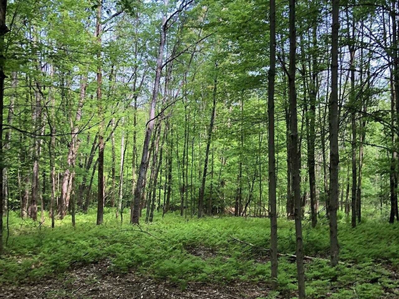 Property Photo: Lot 1 Mason Hill North 1 VT 05487