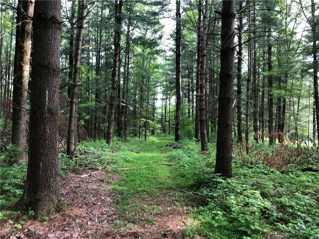 Property Photo: 12403 W Youth Camp Road IN 47201