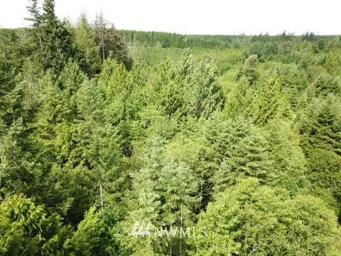 Property Photo:  5441 E Grapeview Loop Rd  WA 98524 