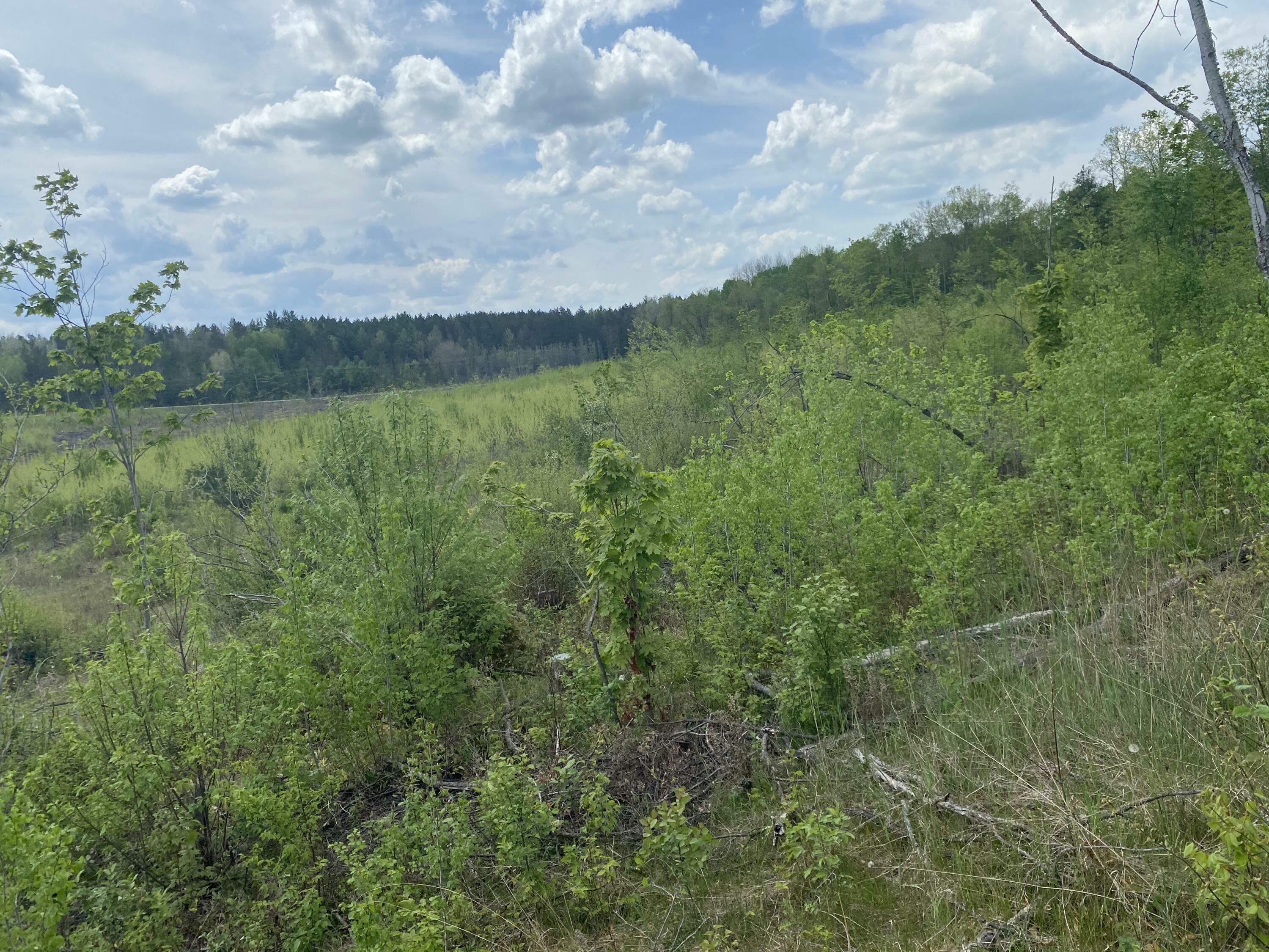 Property Photo: Mentor Road MI 49799