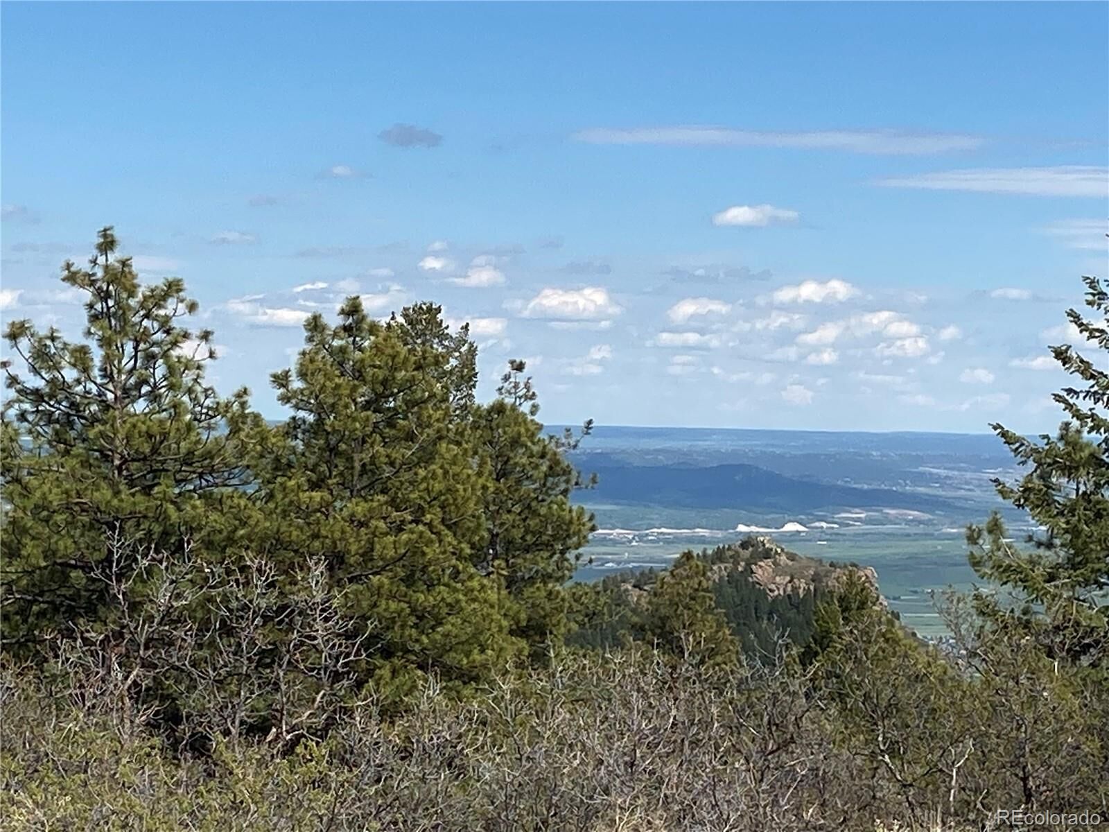 Property Photo: 14860 Elk Mountain Trail CO 80127
