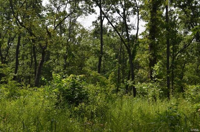 Property Photo: 0 Highway 61-67 63089