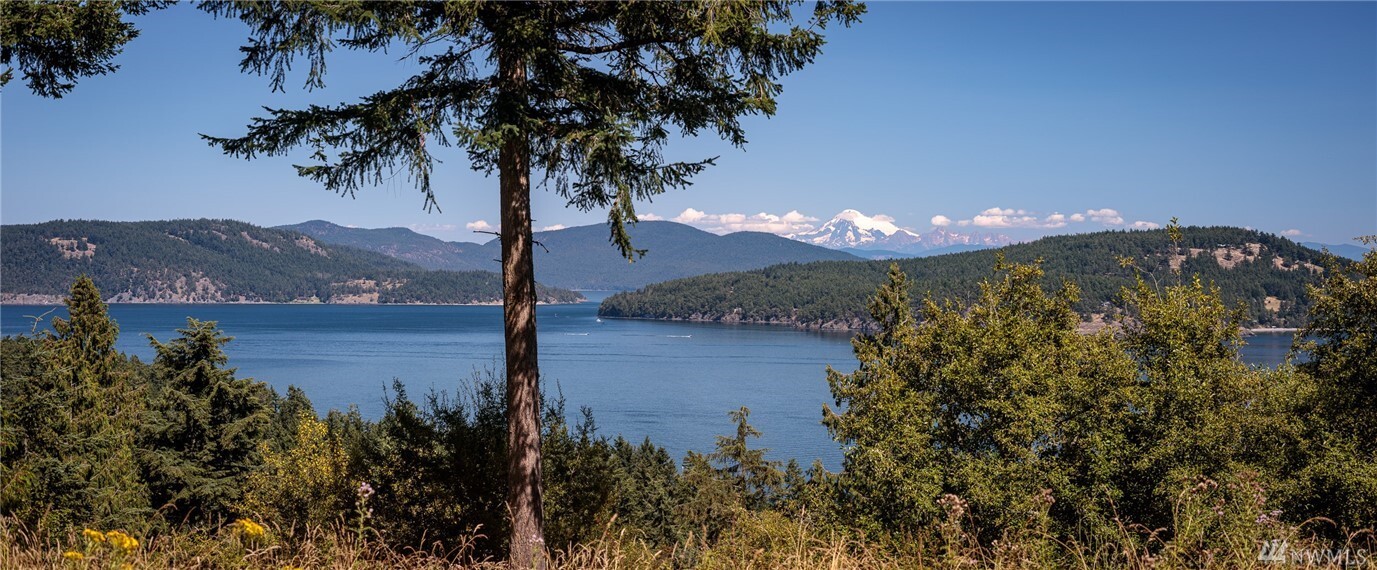 459 Suntides Lane  Lopez Island WA 98261 photo