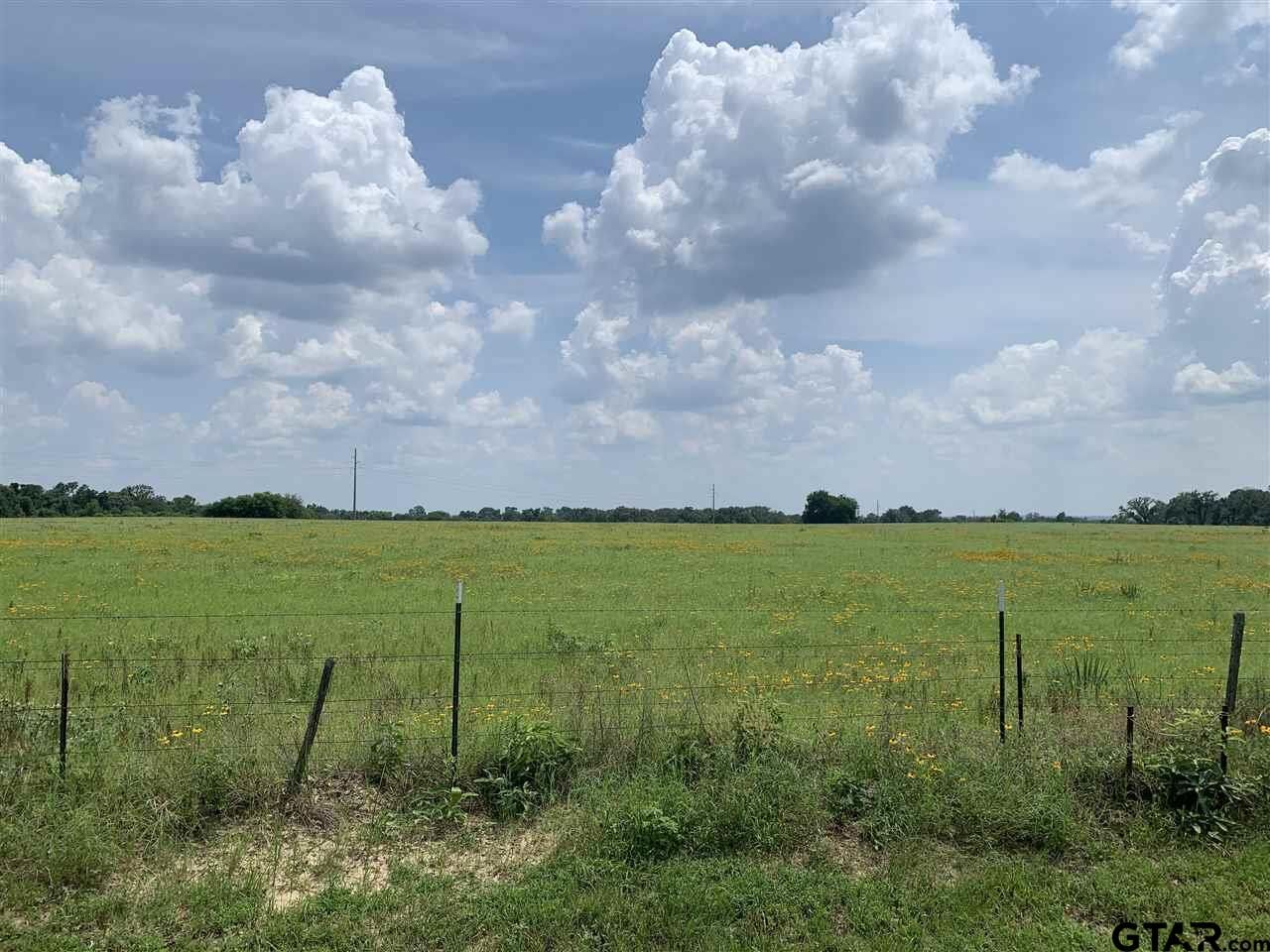 Property Photo:  Tbd Cr 2245  TX 75773 