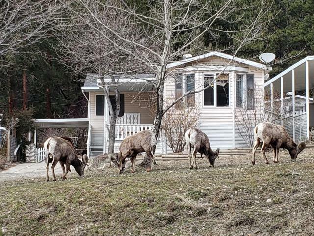 Property Photo: 1770 Hwy 3A 13 BC V0X 1N6
