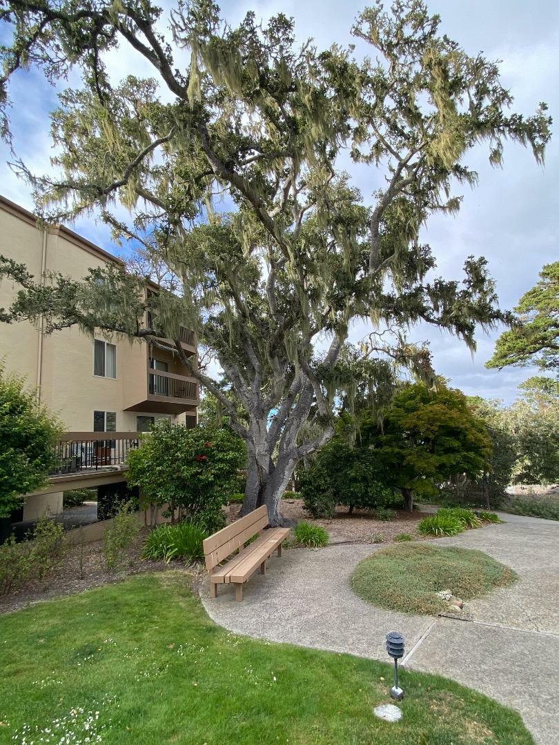 Property Photo: 4303 Golden Oaks Lane CA 93940
