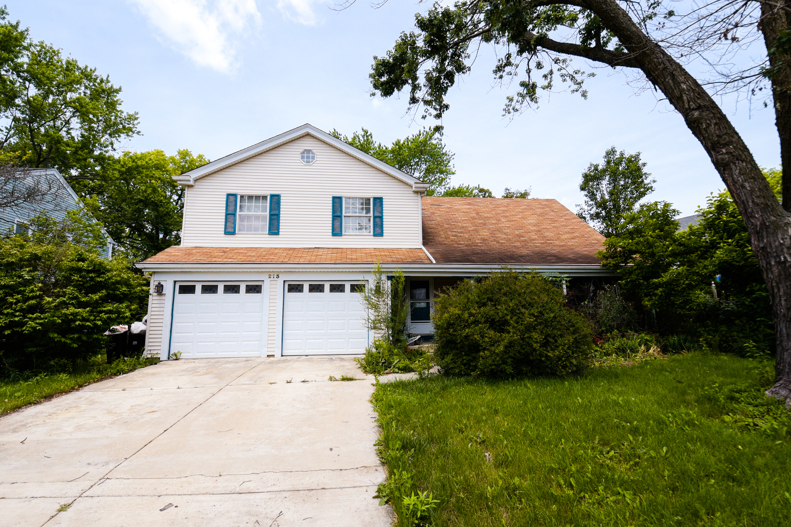 Property Photo:  213 E 12th Avenue  IL 60563 