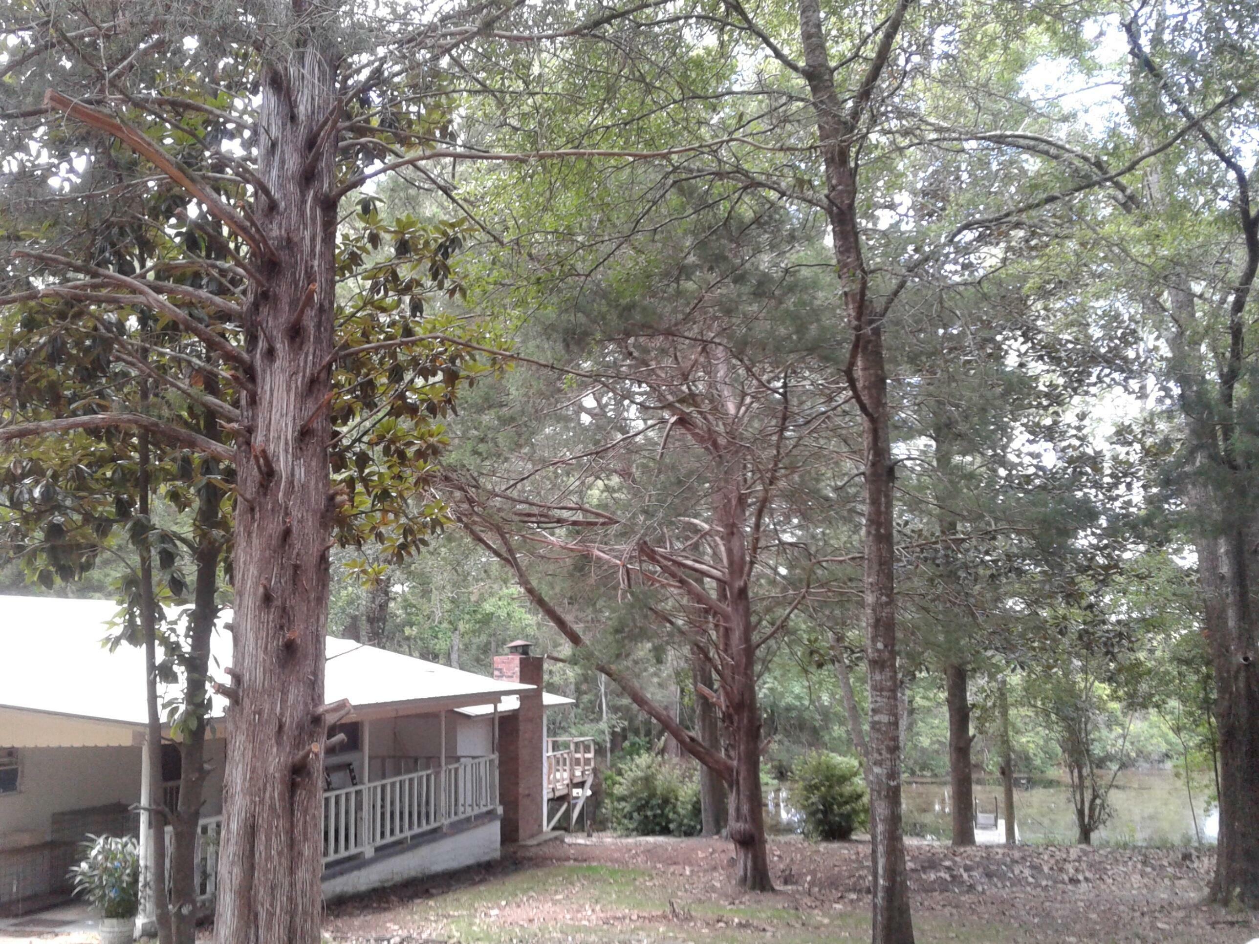 Property Photo:  3938 Fern Barrow Road  FL 32539 