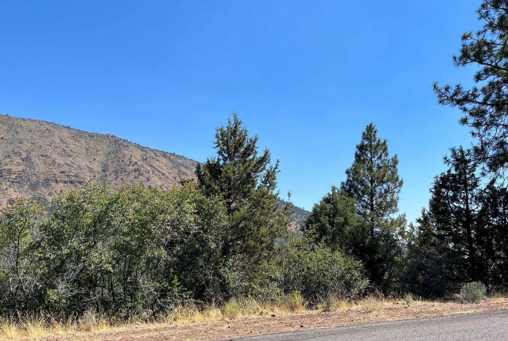 Property Photo:  Lot 41 Peregrine Heights  OR 97601 