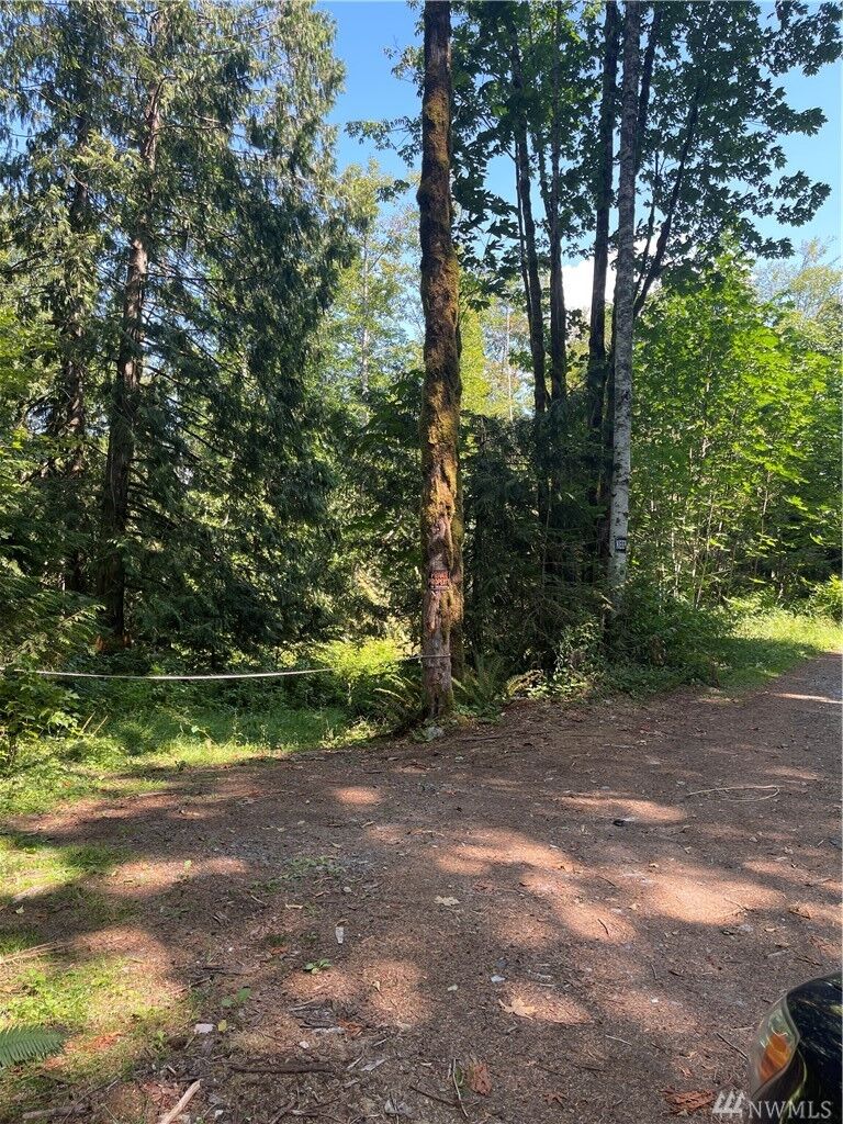 Property Photo: 503 Xx Mt Index Dr WA 98251