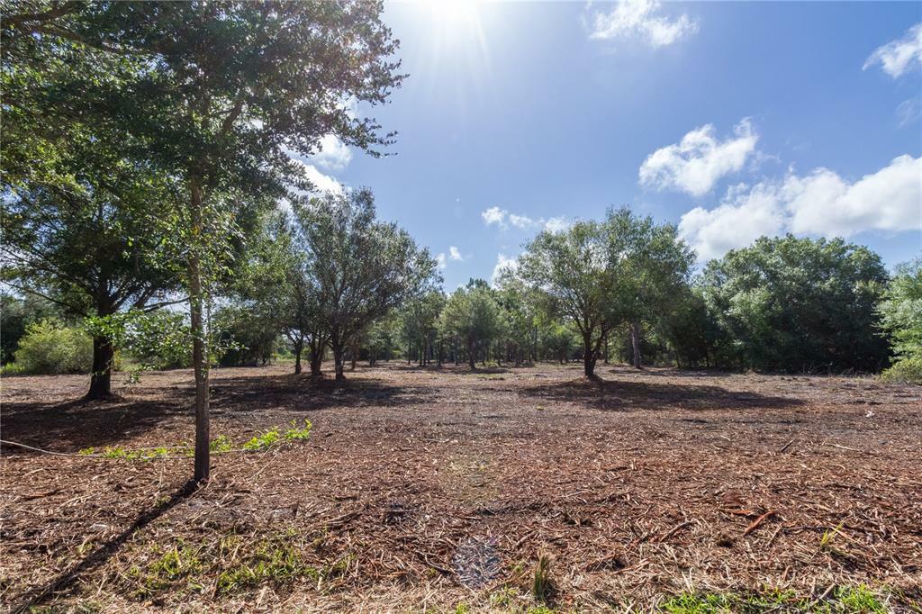 Property Photo:  6452 Austrian Boulevard  FL 33982 