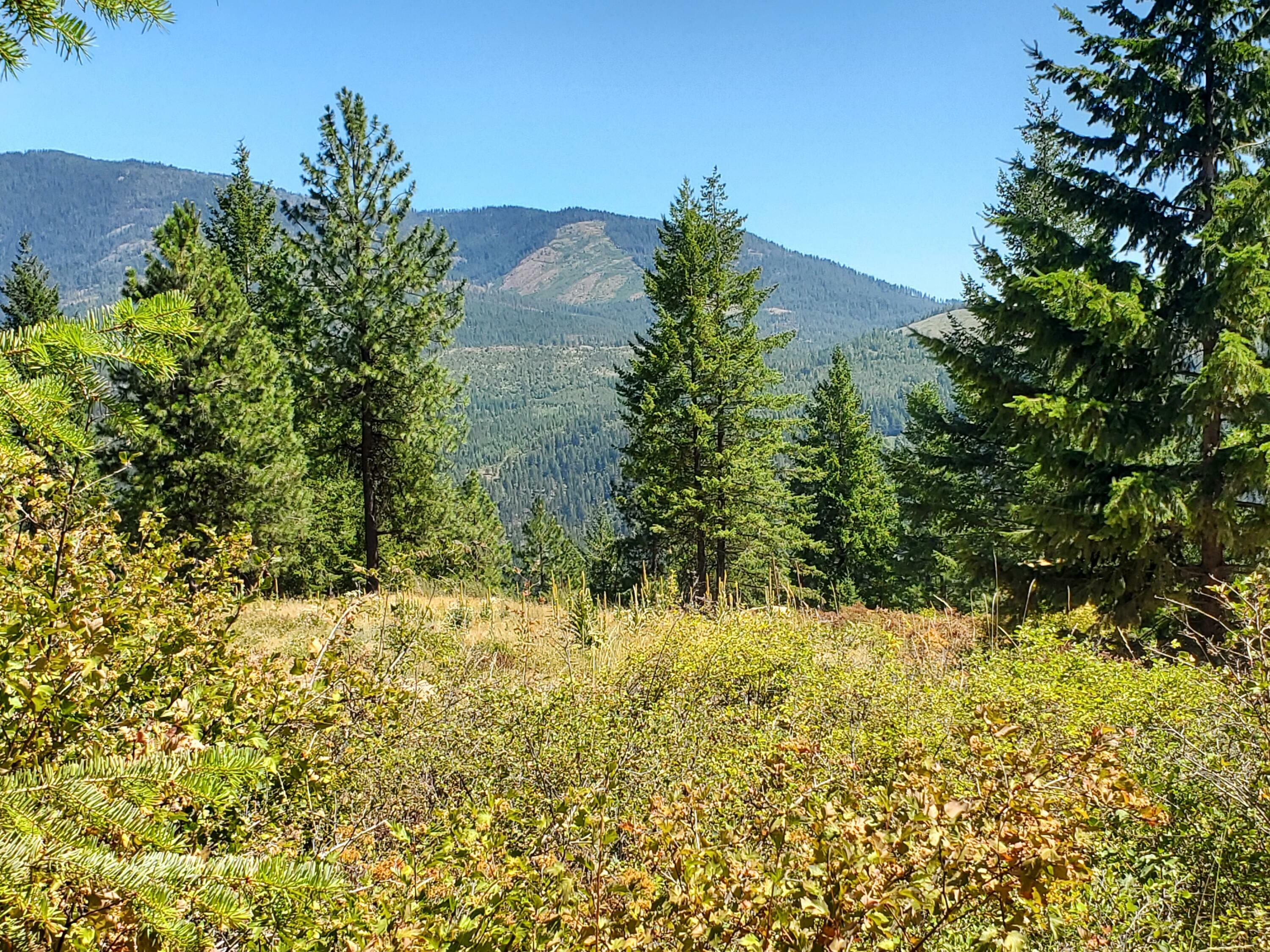 Property Photo:  745 Dry Gulch Rd  WA 99114 