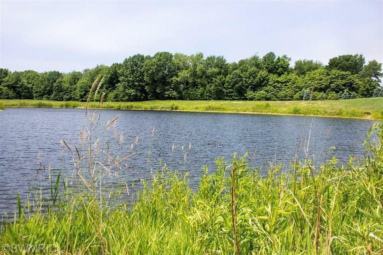 Property Photo:  River Trace  MI 49460 