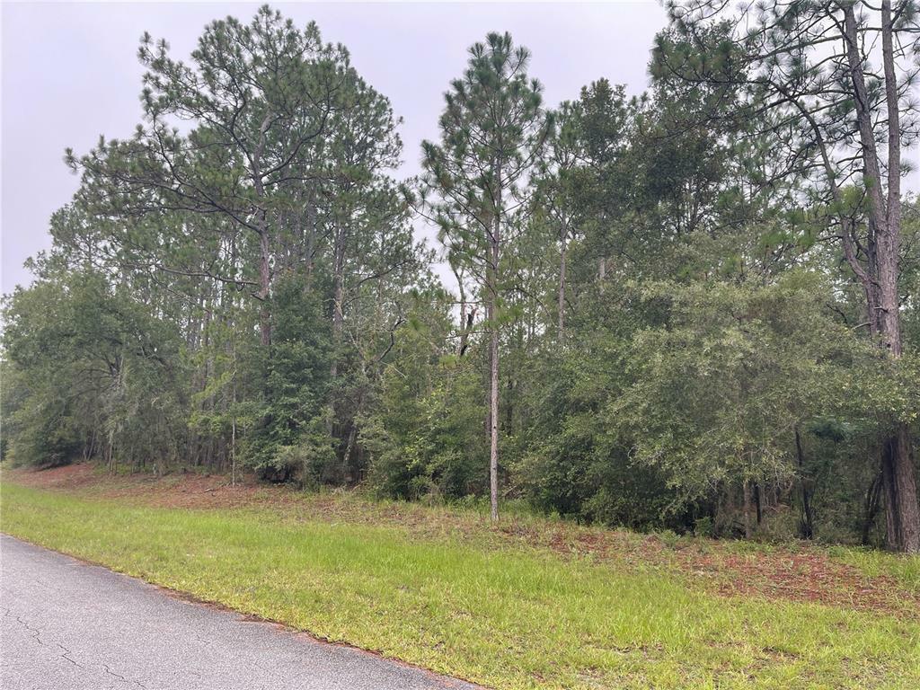 Property Photo:  SW 215th Court Road  FL 34431 