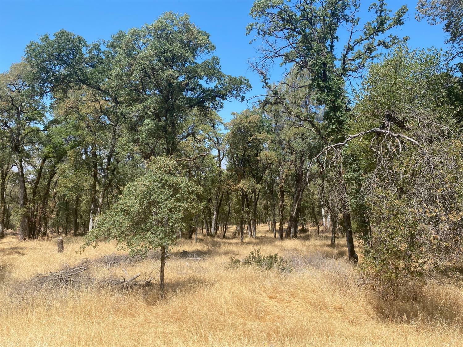 Property Photo: 10150 Coyote Ridge Court CA 95602