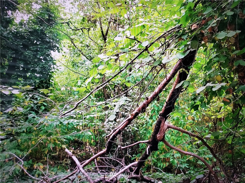 Property Photo: 317 Xx 51st Avenue SW WA 98023