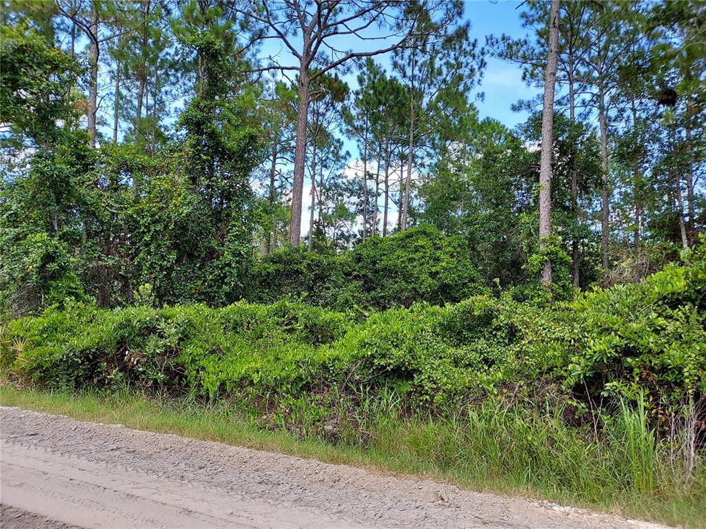 Property Photo: East Parkway FL 32724