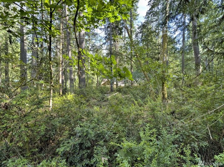Property Photo: 684 E Portage Rd WA 98584