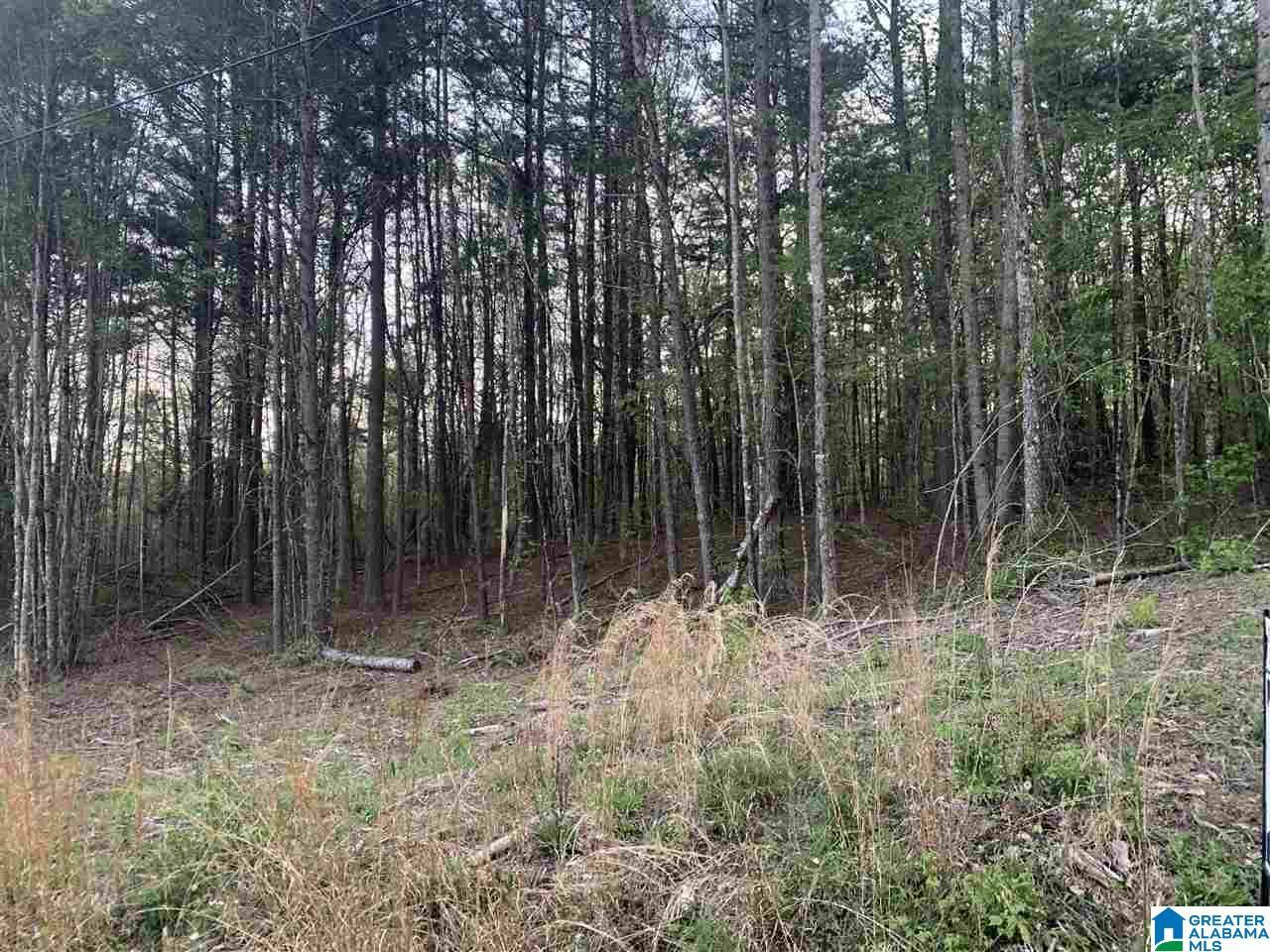 Property Photo:  0 Hallelujah Lane 3.12 Acres  AL 35173 