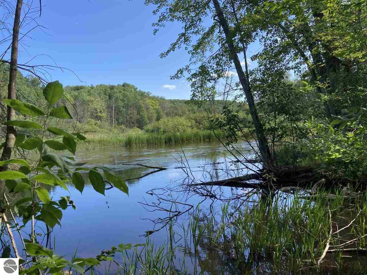 Property Photo: 000 Lewis Road MI 49635