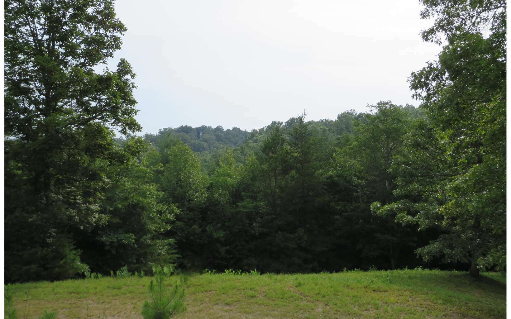 Property Photo:  Lt 11 Walnut Trace  GA 30559 