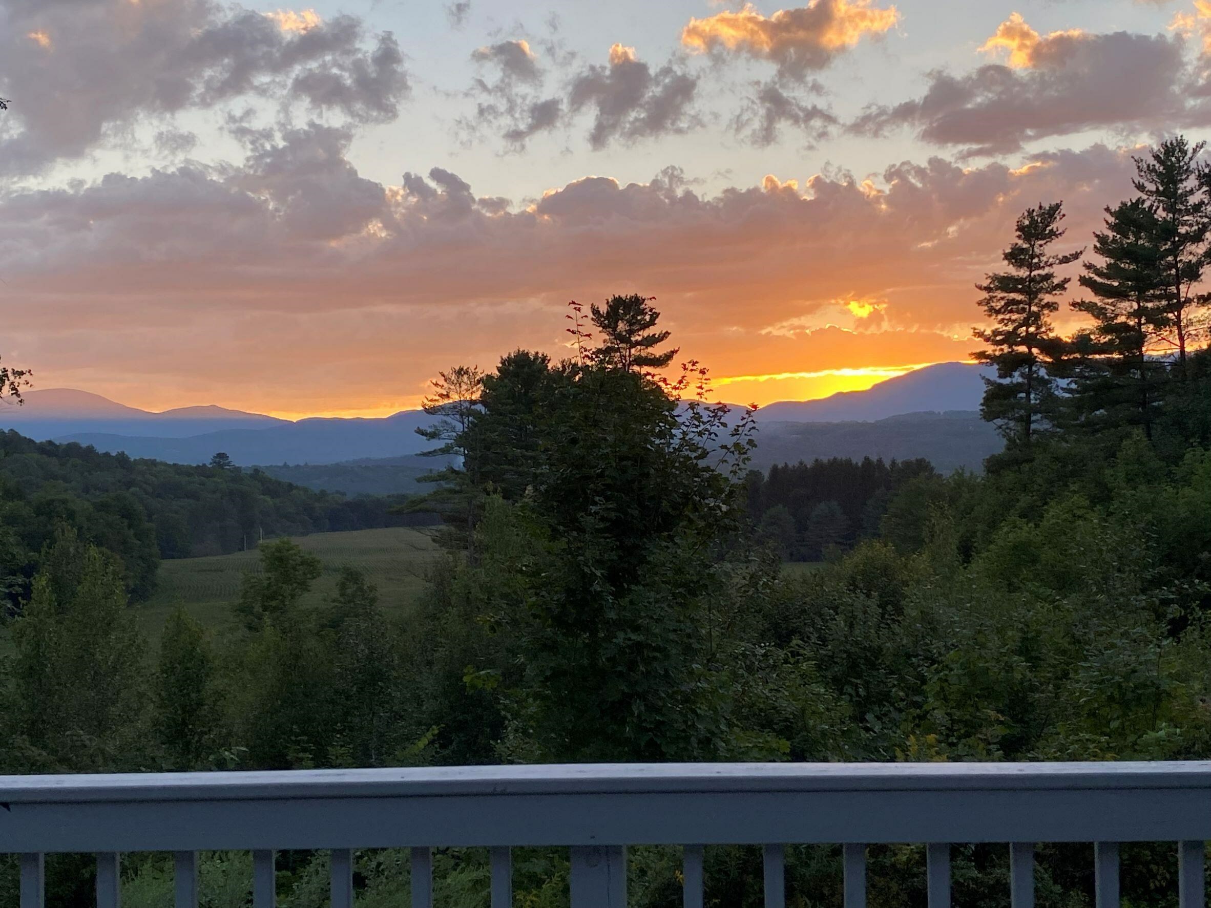 Property Photo: 74 Elmore Mountain Road VT 05672