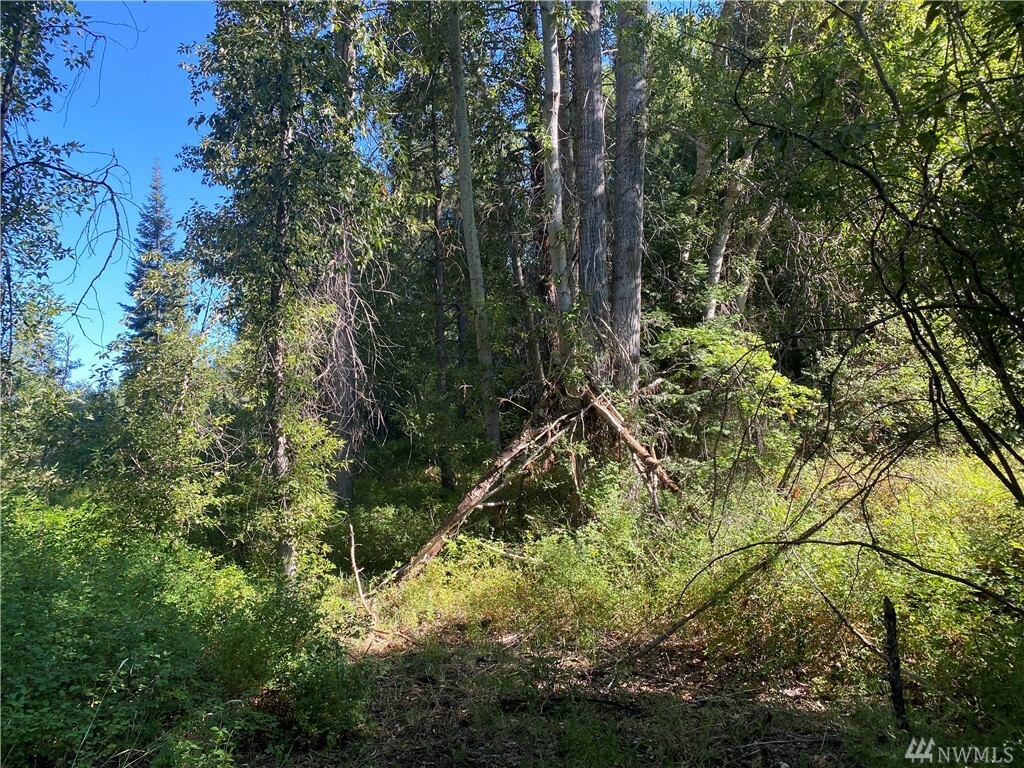 Property Photo:  2131 Teanaway Middle Fork Rd  WA 98922 