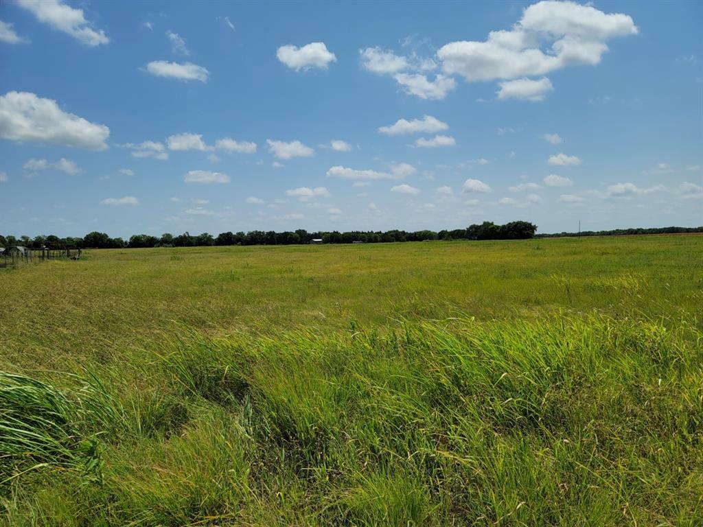 Property Photo:  Lot 1 County Rd 1245  TX 75479 