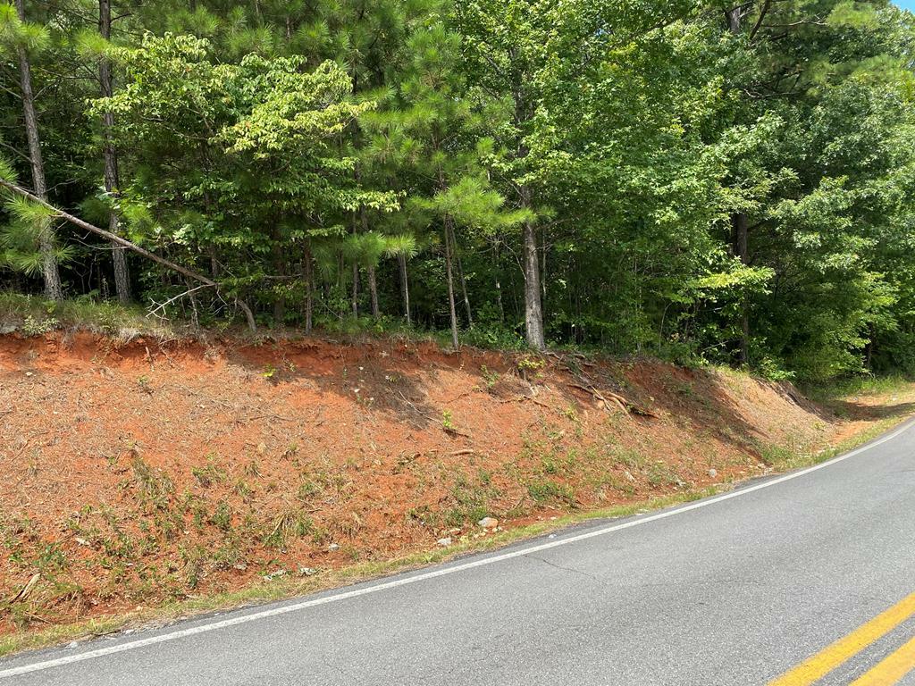 Property Photo:  0 Crow Valley Road  GA 30721 