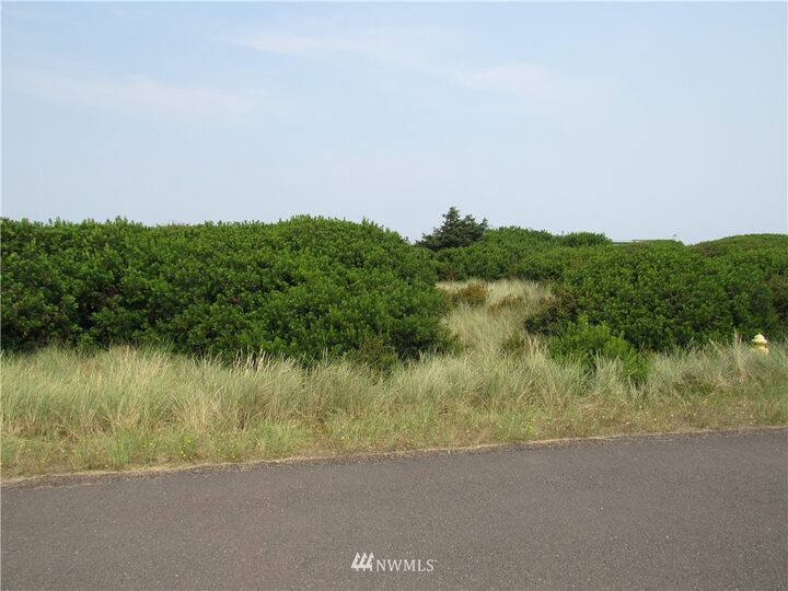 1258 Fleetwood Avenue SW  Ocean Shores WA 98569 photo