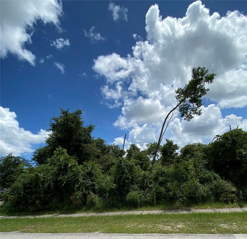 Property Photo:  2739 N Juliet Drive  FL 32738 