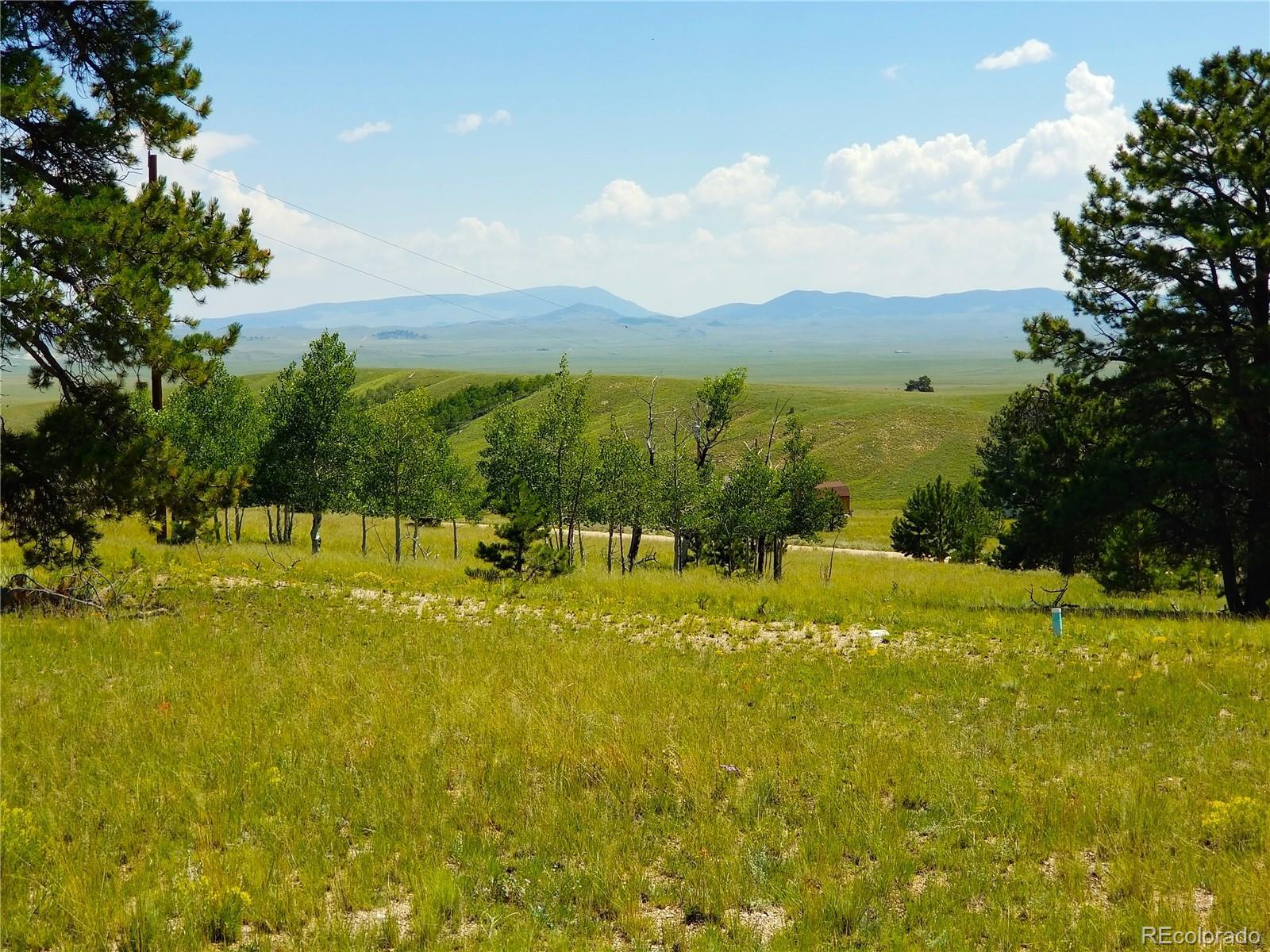 Property Photo: 327 Brahma Circle CO 80449