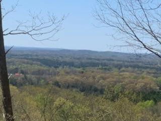 Property Photo:  Lot 2  149 Gage Lane  TN 37361 