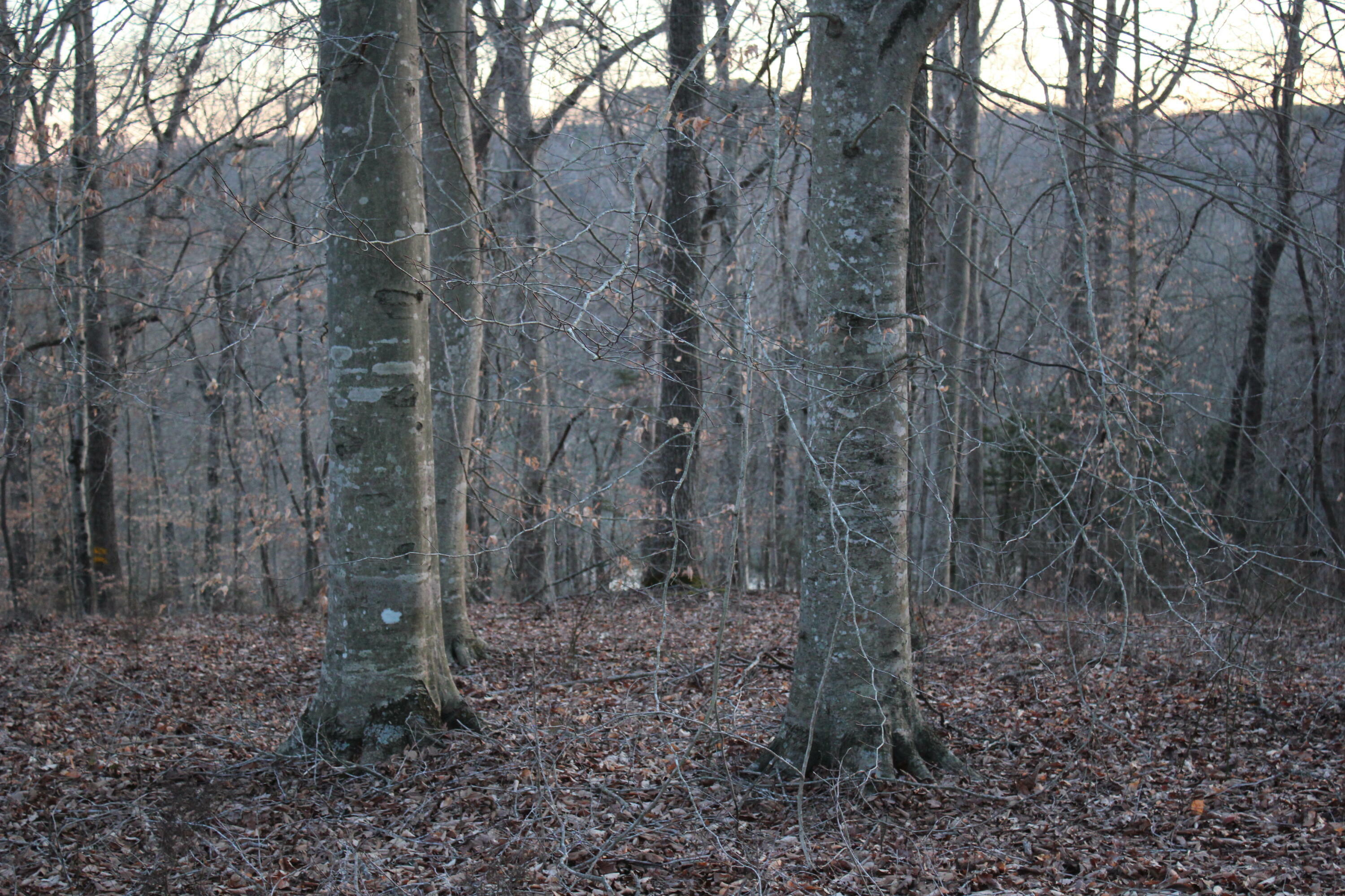 Property Photo:  Lot 40 Anchor Way  KY 42629 