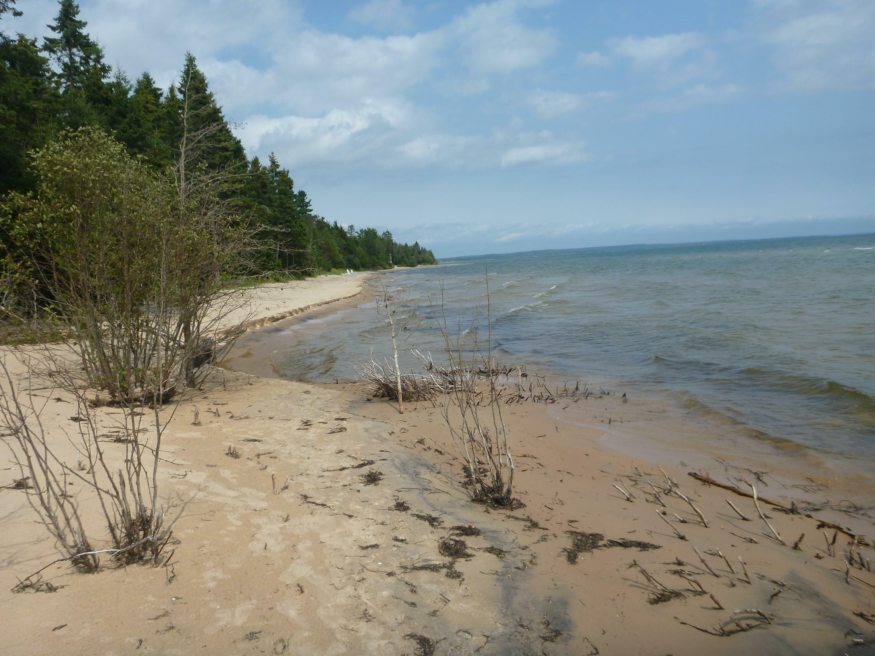 Property Photo:  Lot # 23 Carnegie Trail  MI 49762 