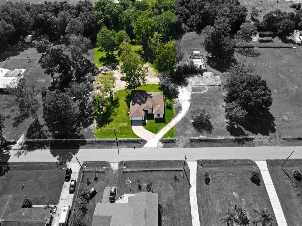 Property Photo: 1600 Palm Tree Drive FL 34744