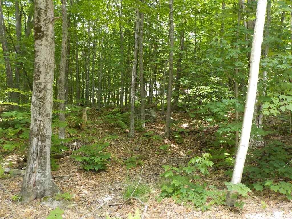 Property Photo:  Lot 4 Heritage Road  NH 03894 