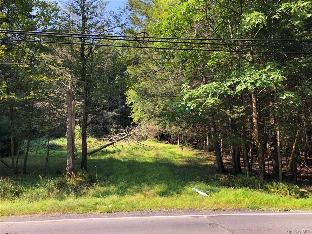70 Highland Lake Road  Highland Lake NY 12743 photo
