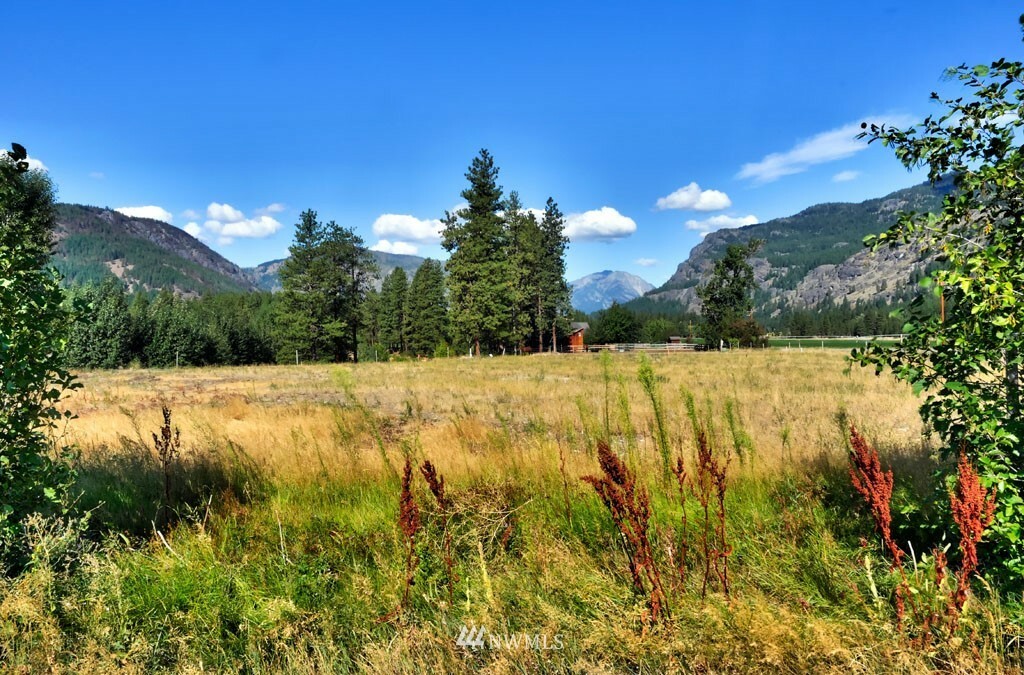 Property Photo:  421 Goat Creek Road  WA 98833 